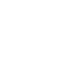 Milestone